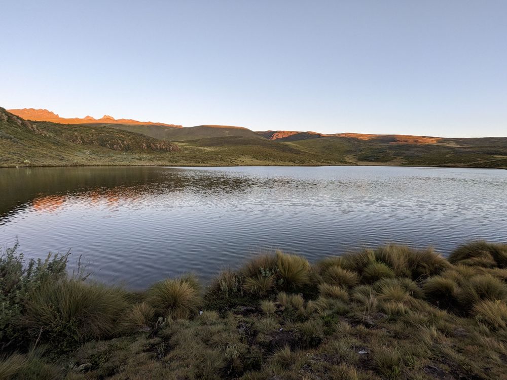 a lake surrounded by greenery landscape